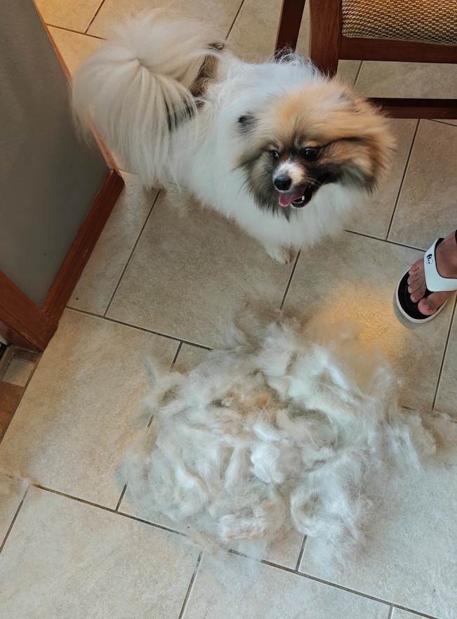 He sheds that every month. 